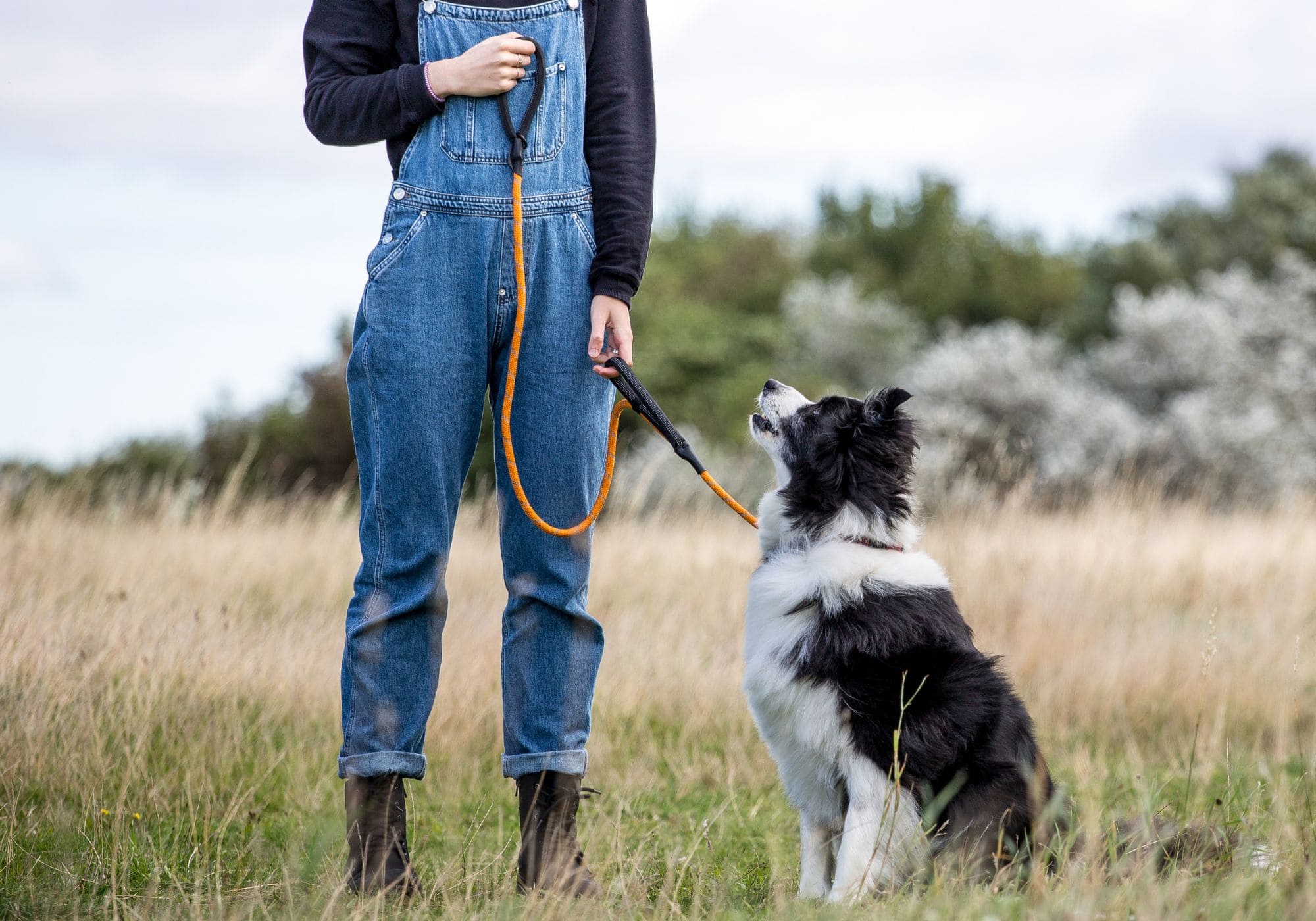 Leads