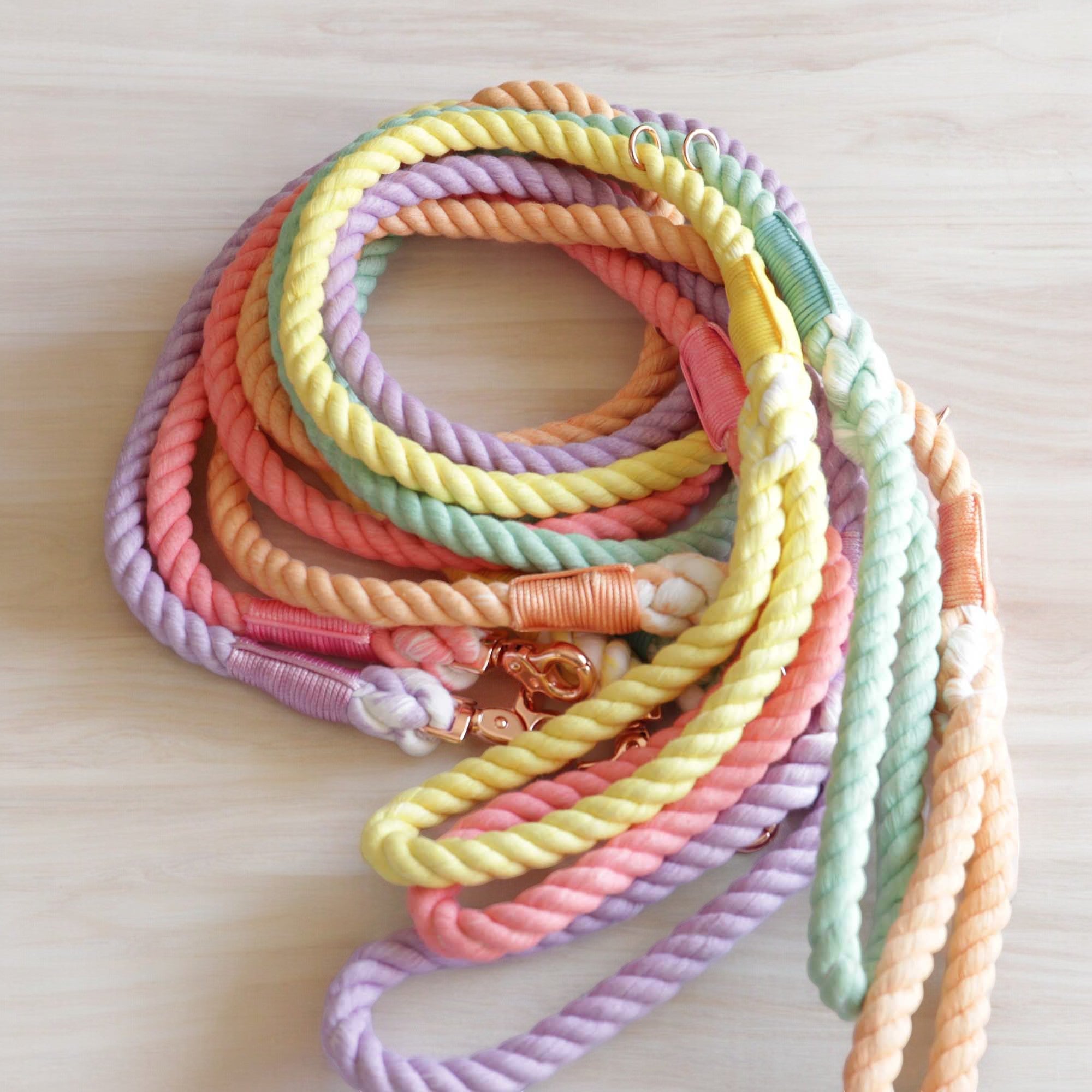 Rainbow Rope Leads - Sweetie