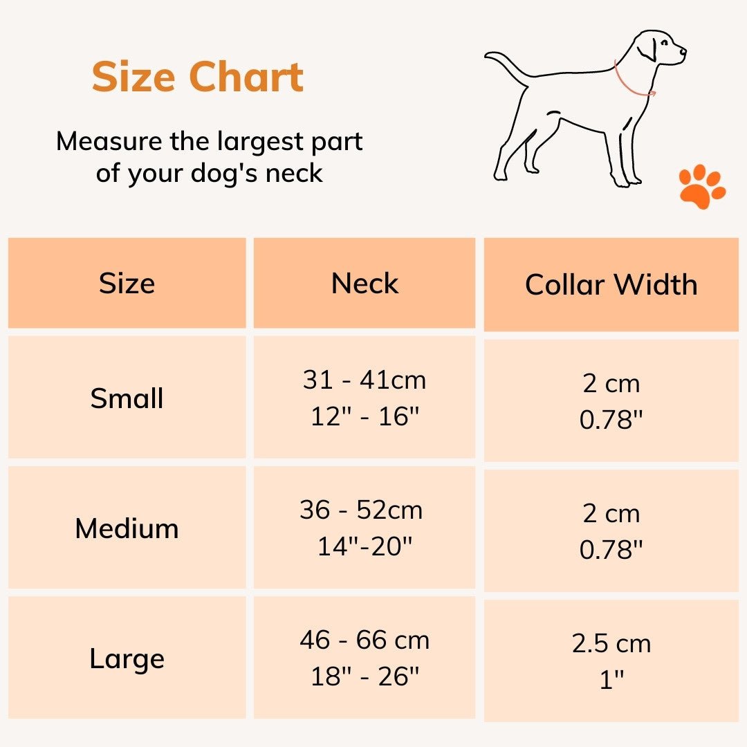 Neoprene Padded Dog Collar - Sweetie