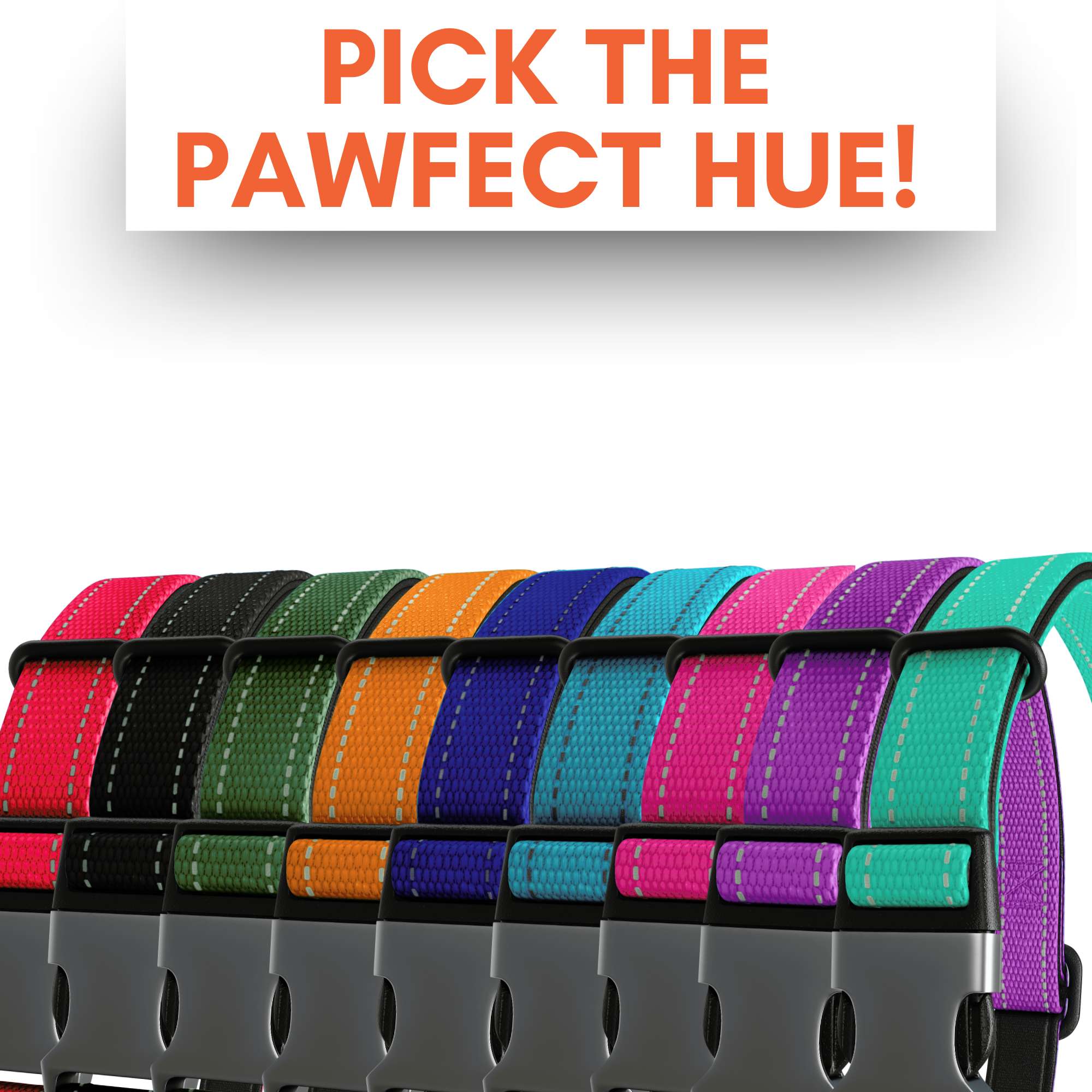 Neoprene Padded Dog Collar - Sweetie