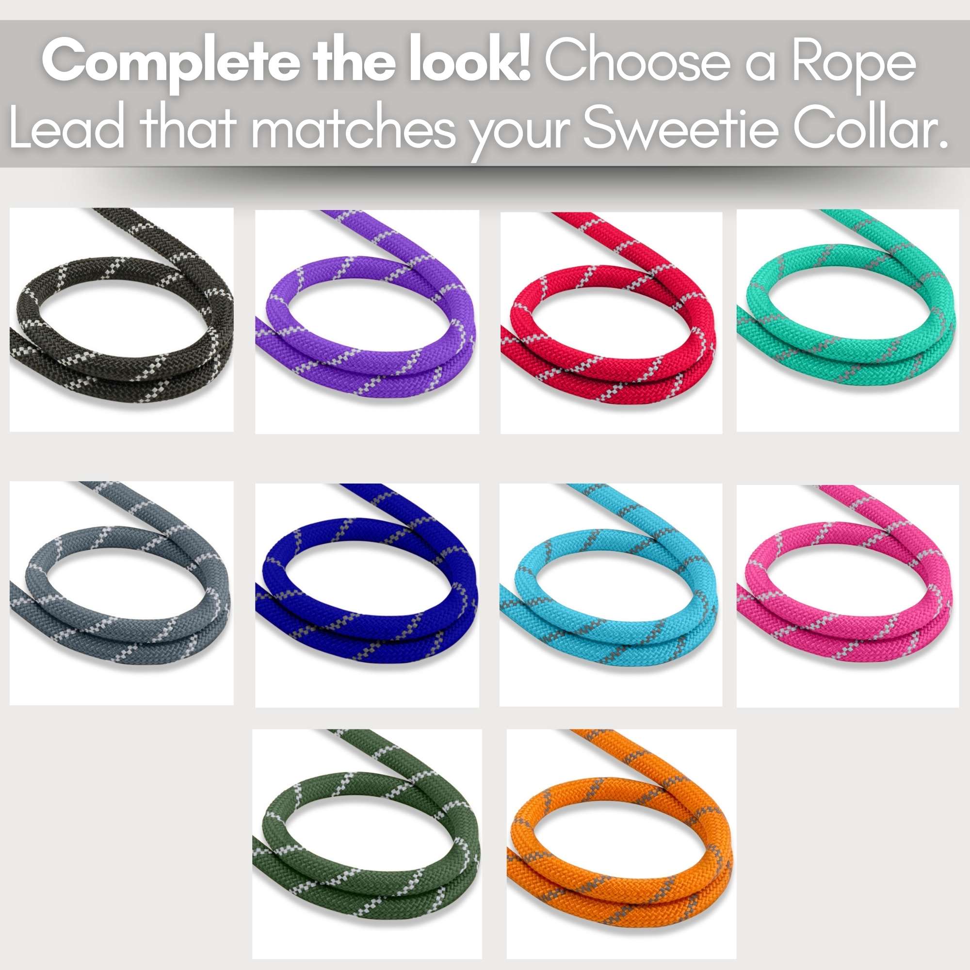 Neoprene Padded Dog Collar - Sweetie