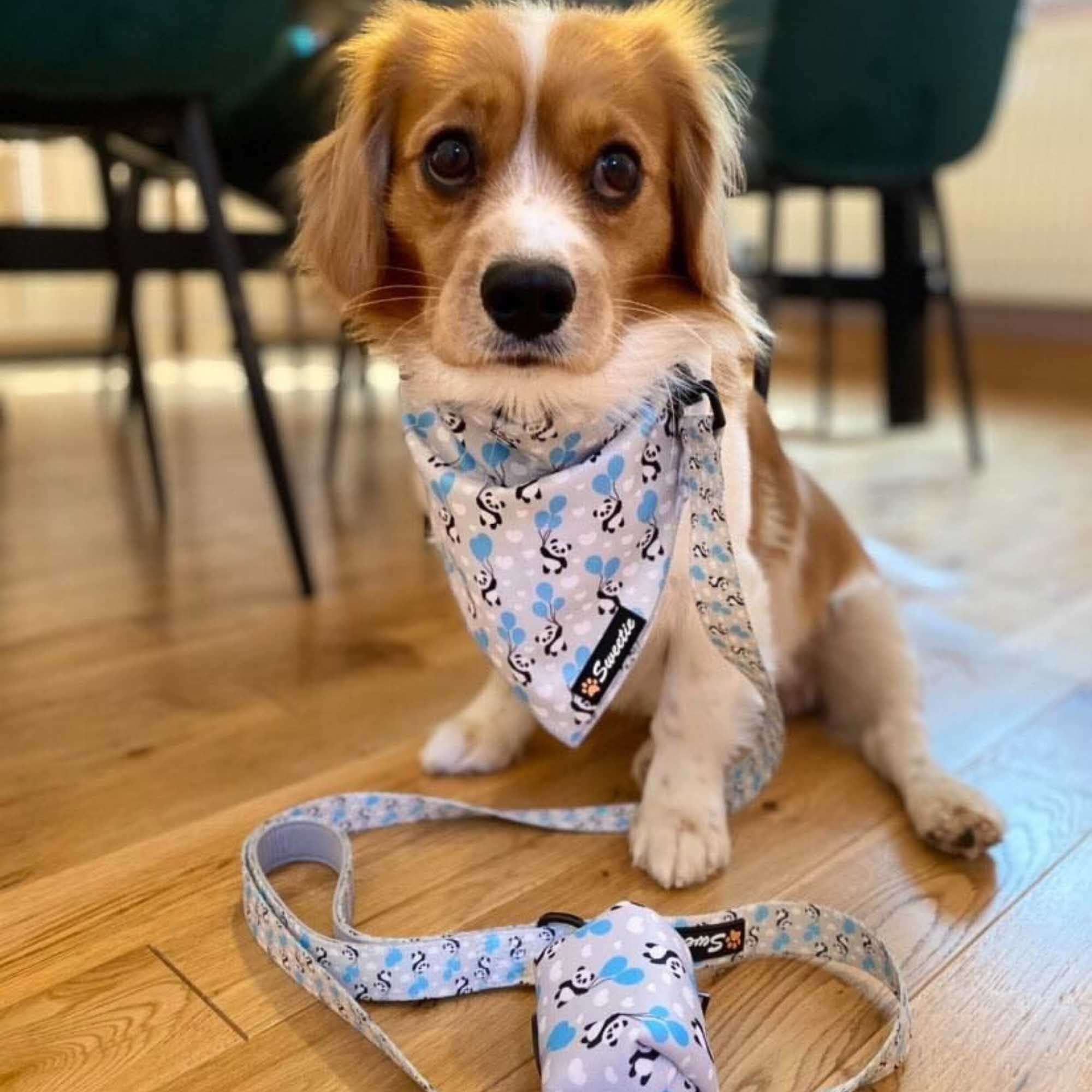 Poo Bag Holder - My Heart Belongs to Panda - Sweetie