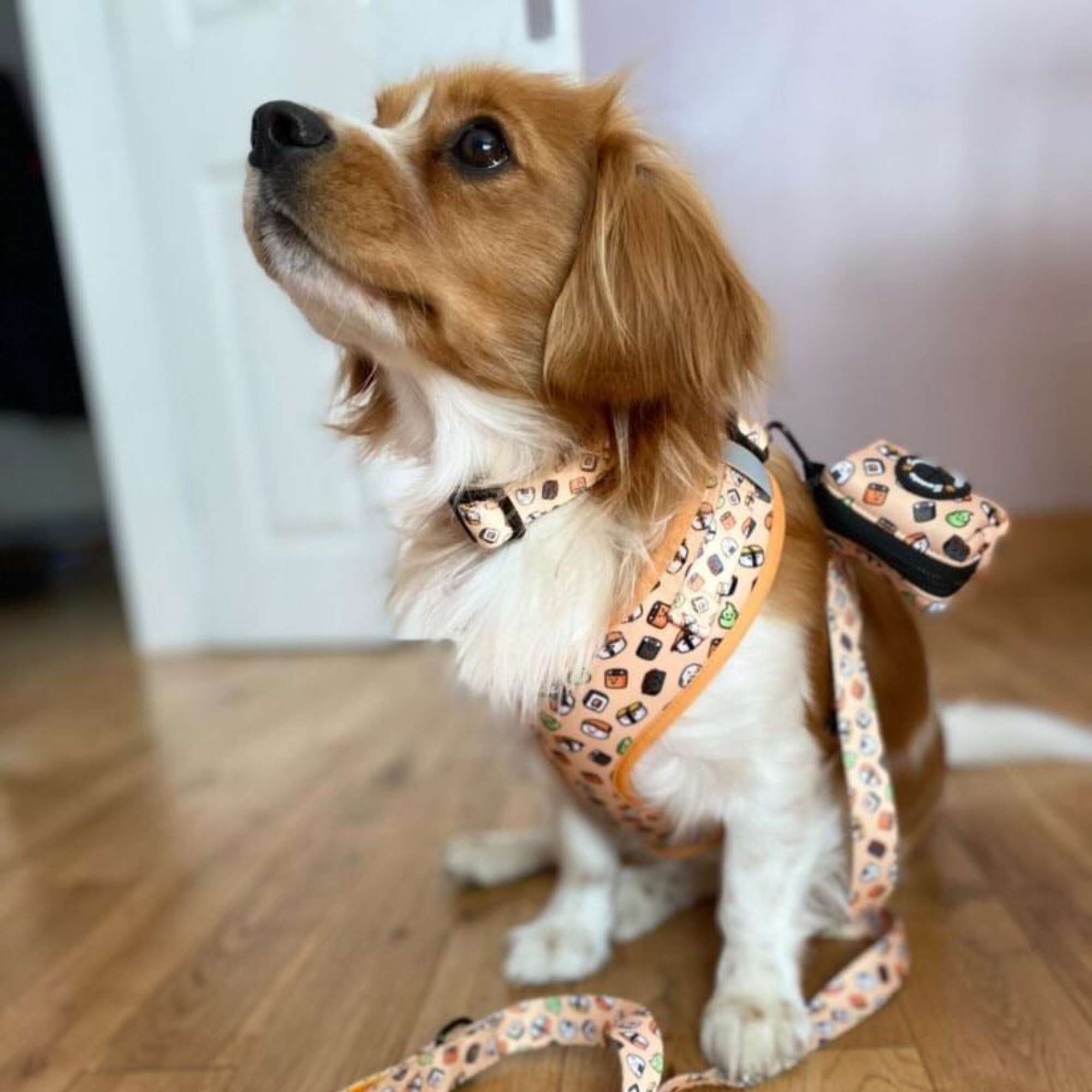 Poo Bag Holder - Thanks a Sushi - Sweetie