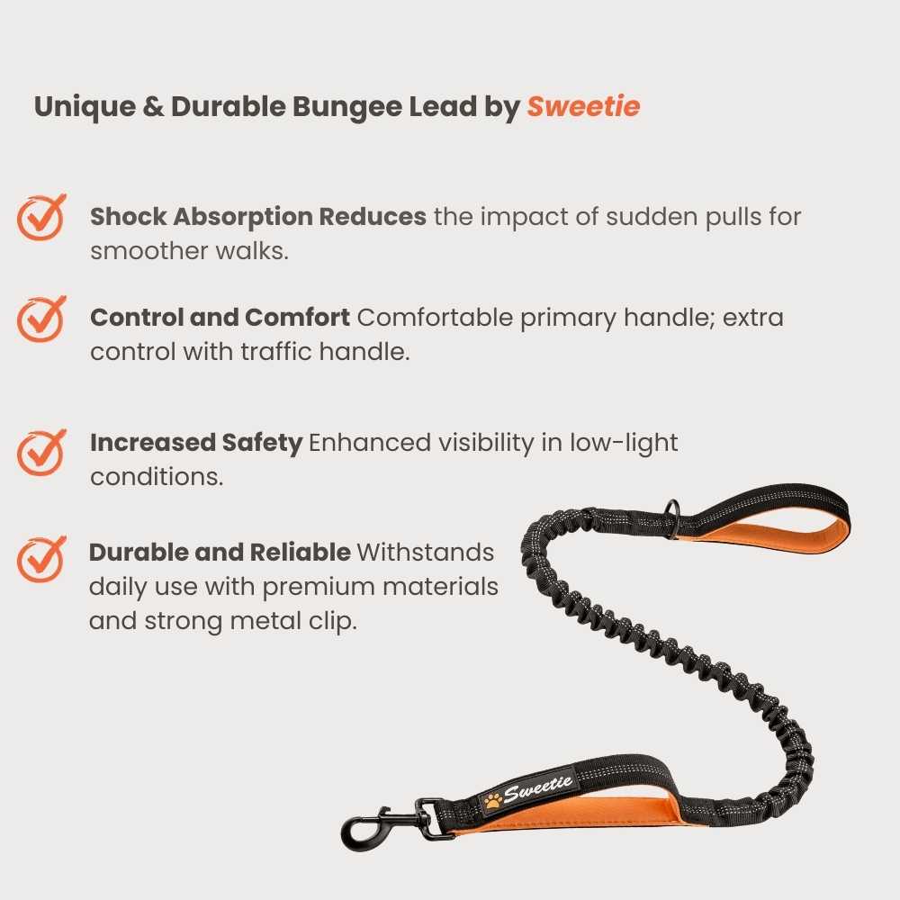 Premium Strong Bungee Leads - Sweetie