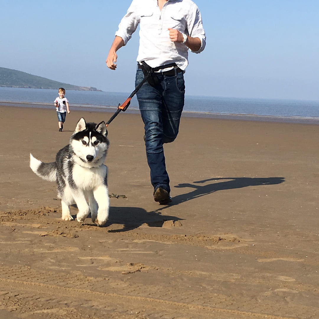 Hands Free Dog Lead - Sweetie