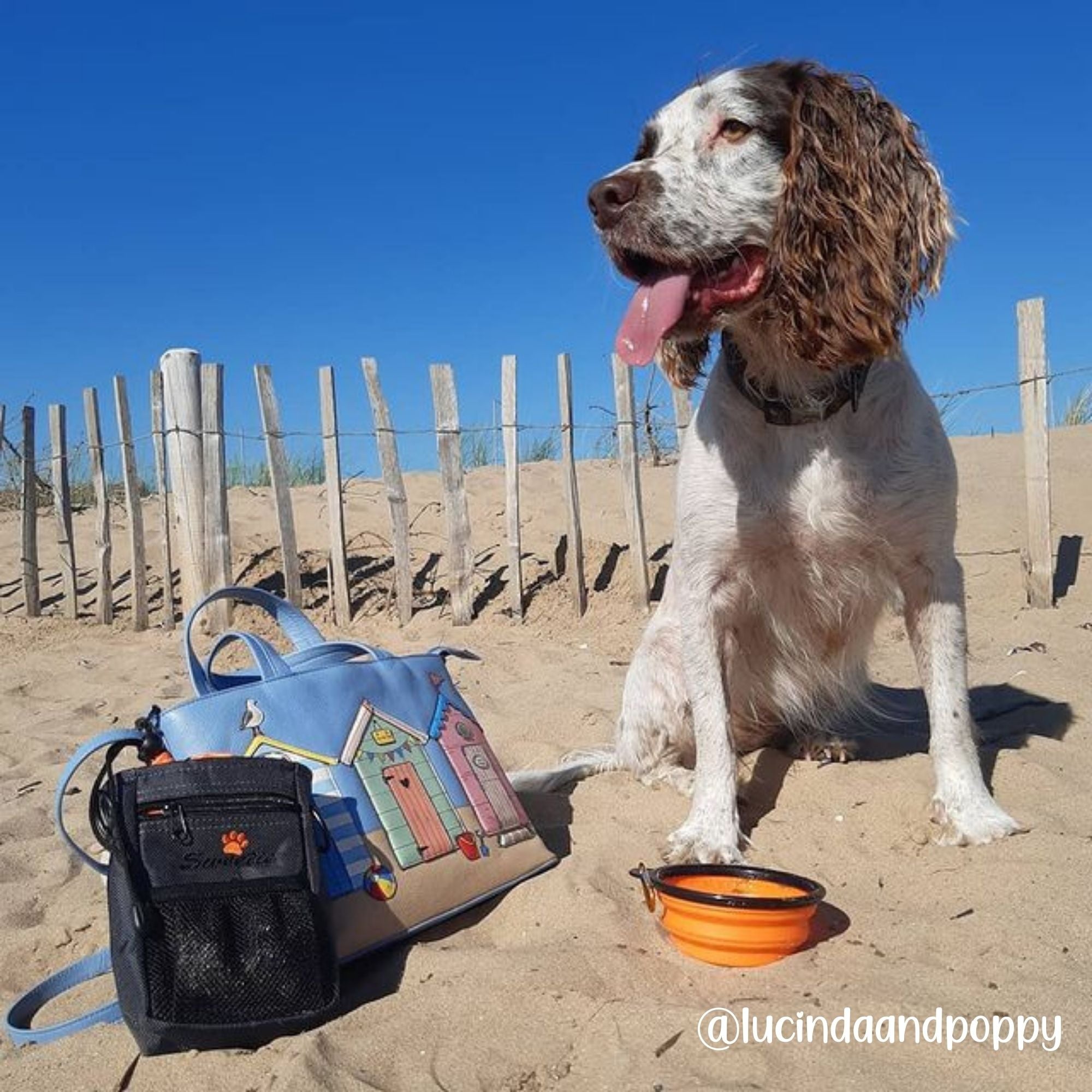 Premium Dog Treat Pouch Bag for Walking & Training, with Poop Bag Holder, Collapsible Bowl & Free Clicker - Perfect Puppy Kit - Sweetie