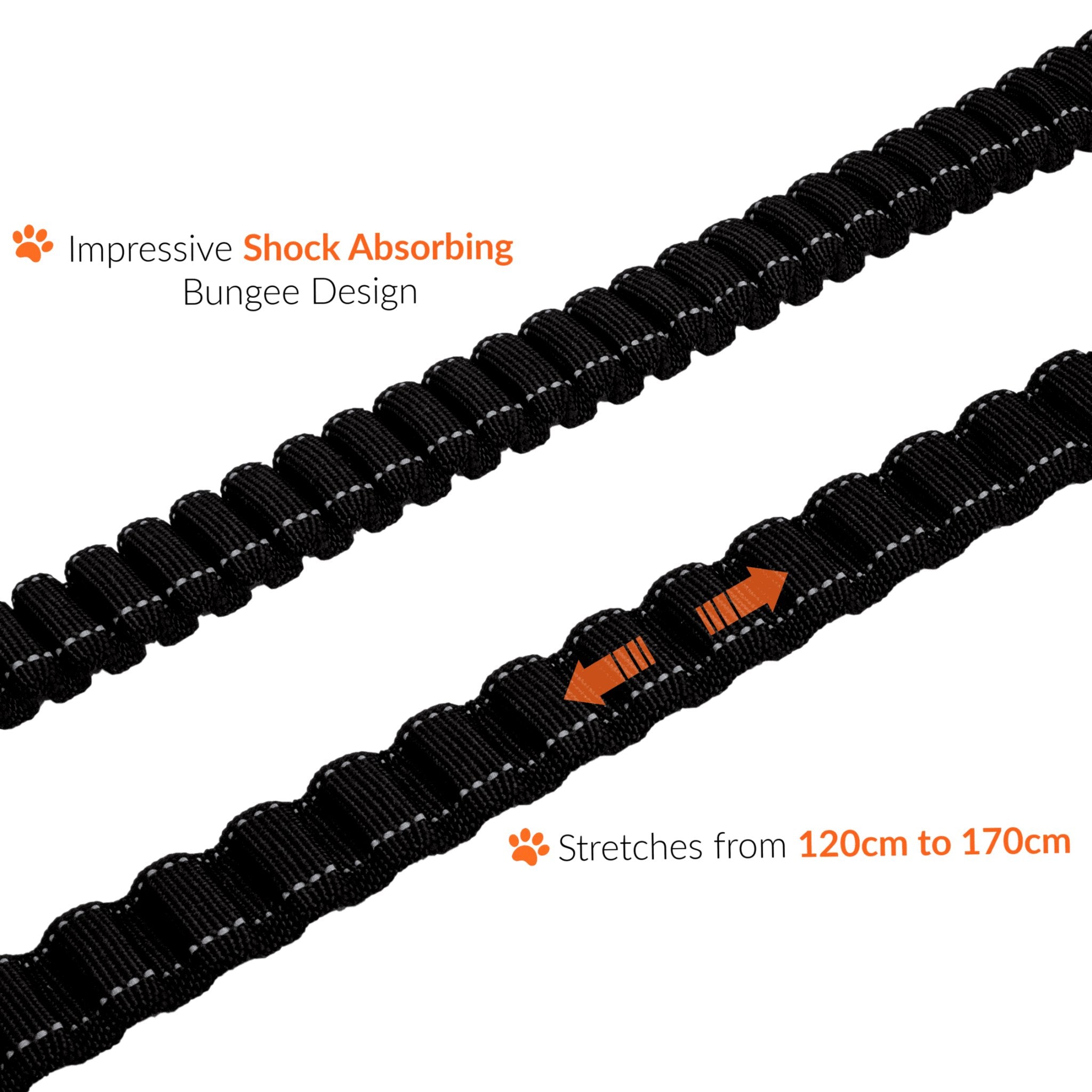 Shock-Absorbing Dog Lead - Sweetie