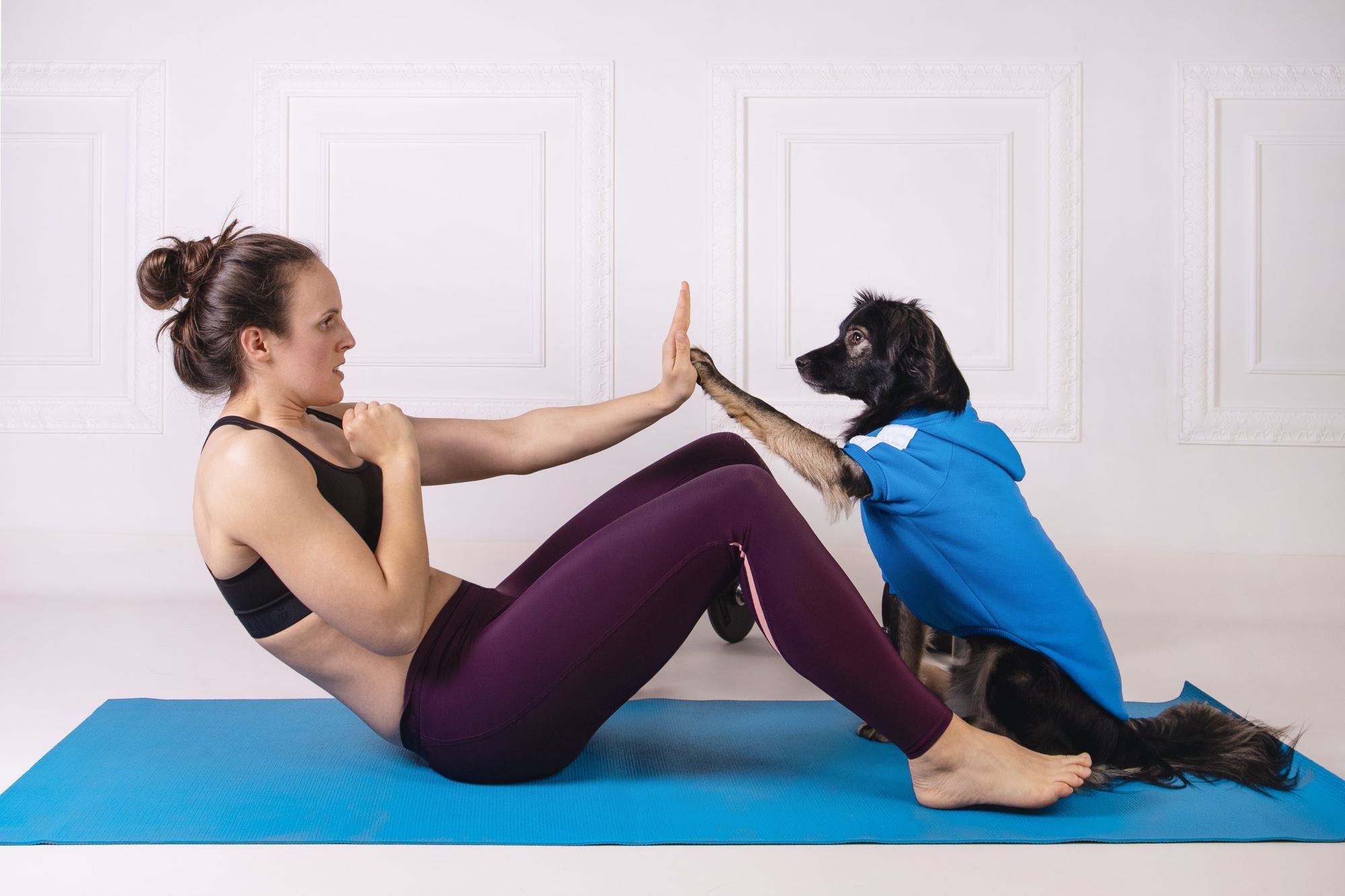 5 Ways to get fit with your dog - Sweetie