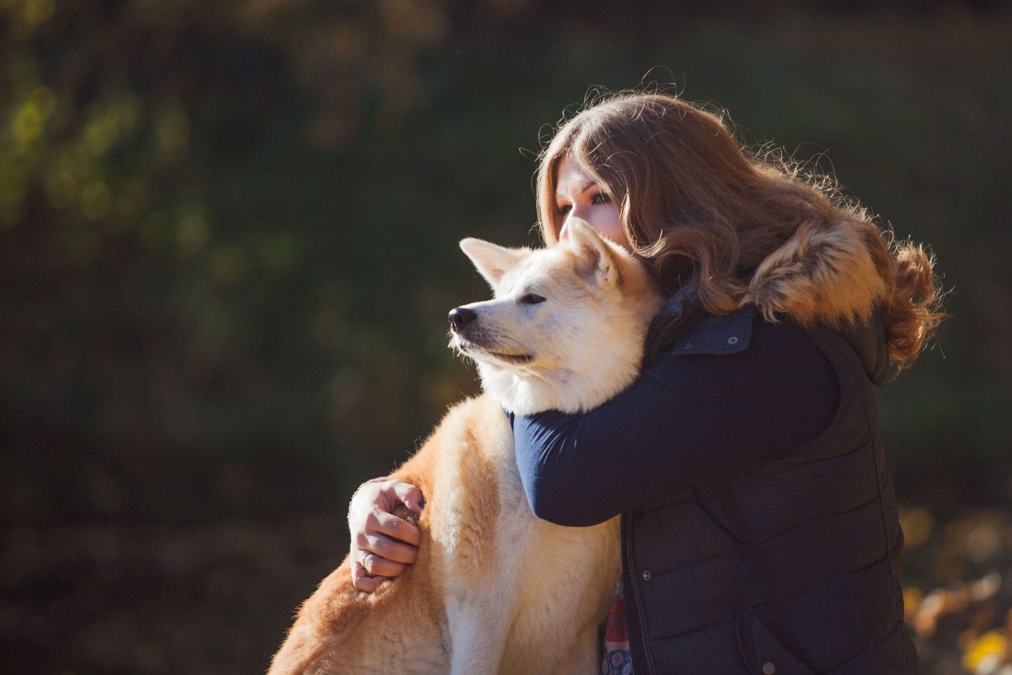Sweetie tips for walking & grooming your dog in winter - Sweetie