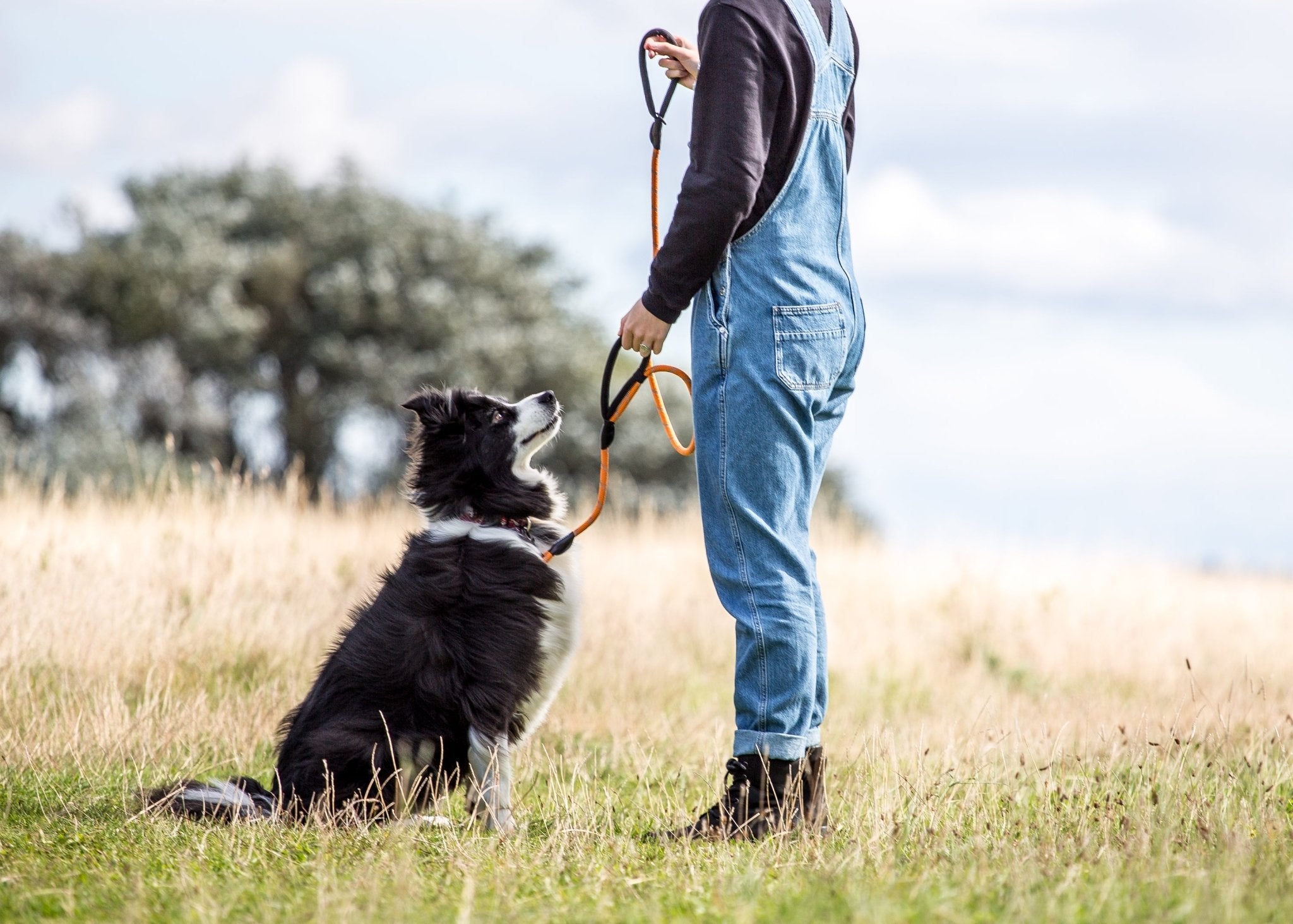 Dog Rope Leads - Sweetie