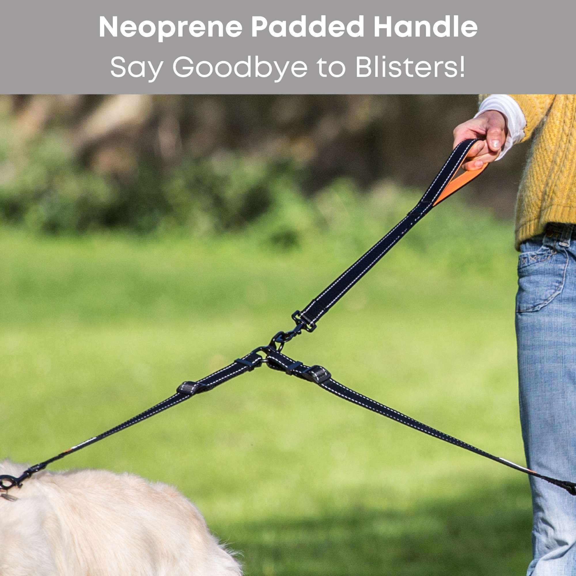 Double Dog Dog Walking Leads Pet Supplies Double Dog Walking Leash