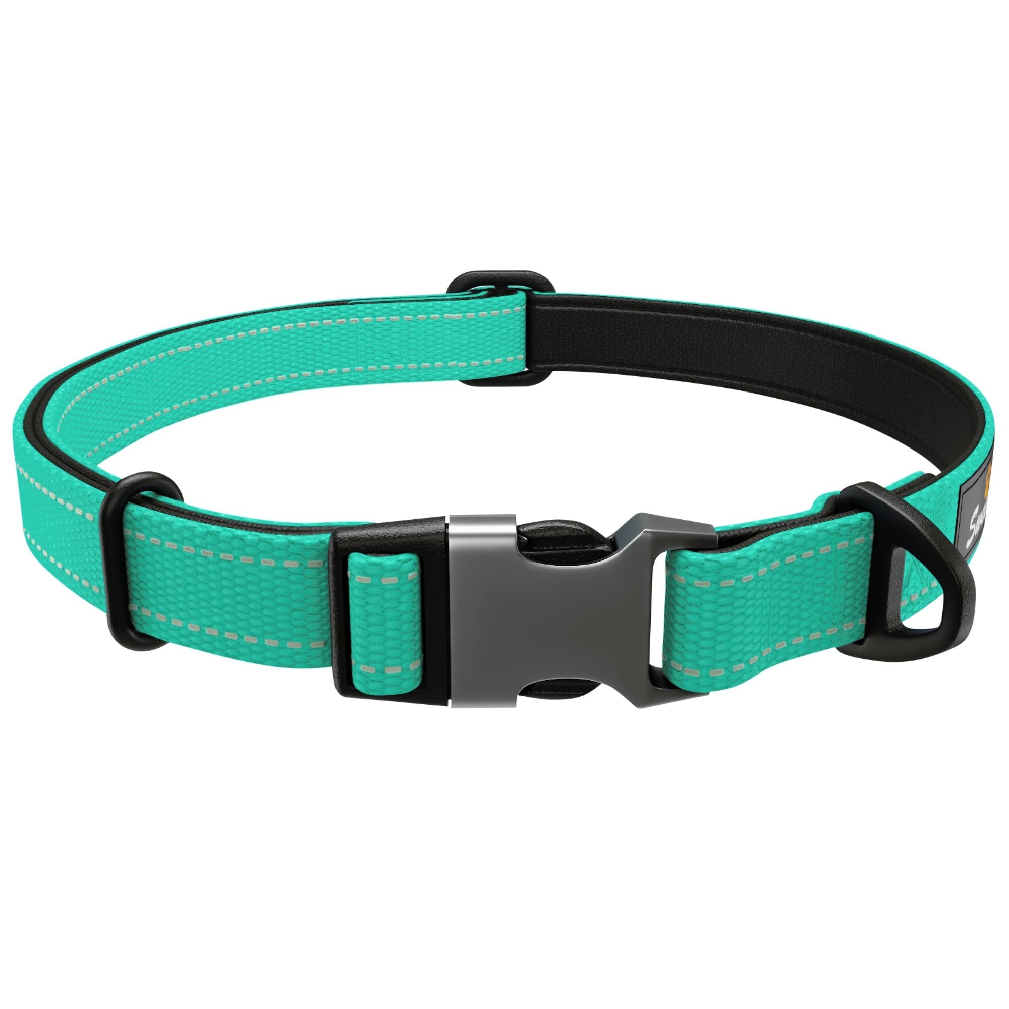 Dreamy Aqua Padded Collar - Sweetie