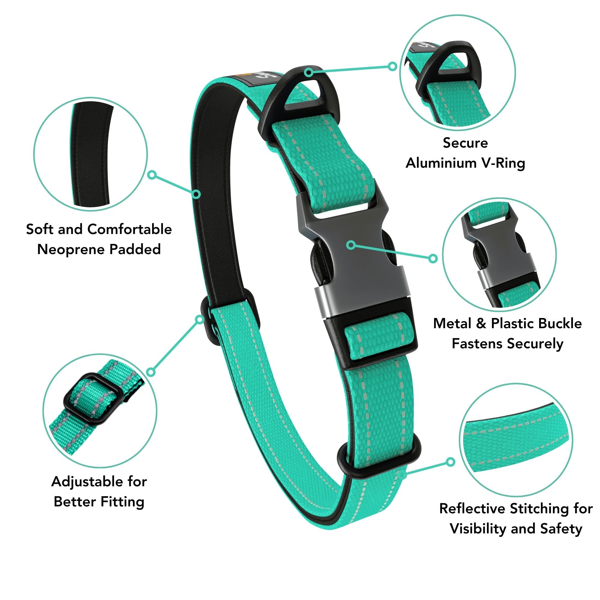 Dreamy Aqua Padded Collar - Sweetie