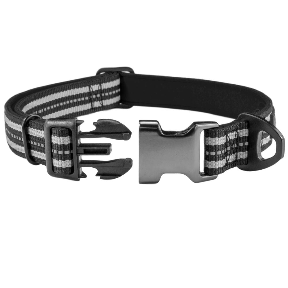 Grey & Orange Padded Collar - Sweetie
