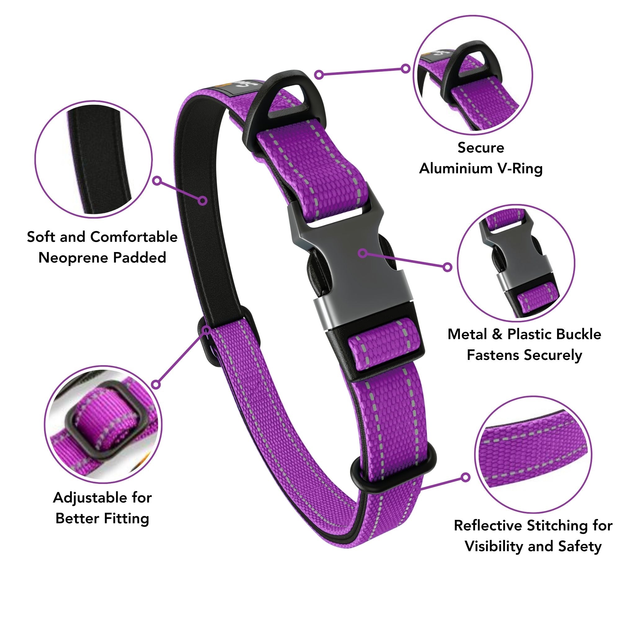 Neoprene Padded Dog Collar - Purple - Sweetie