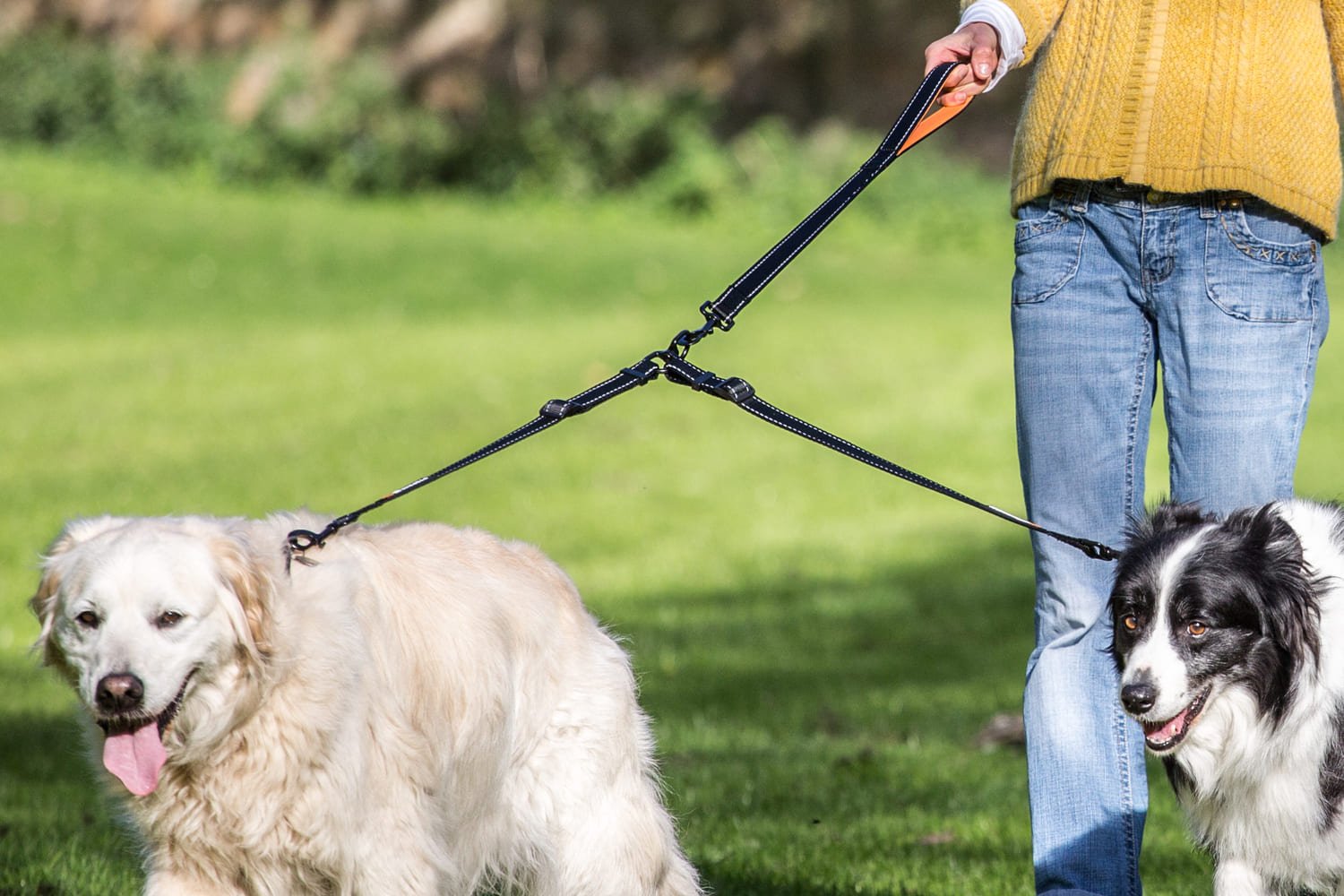 Double Dog Lead Adjustable - Sweetie