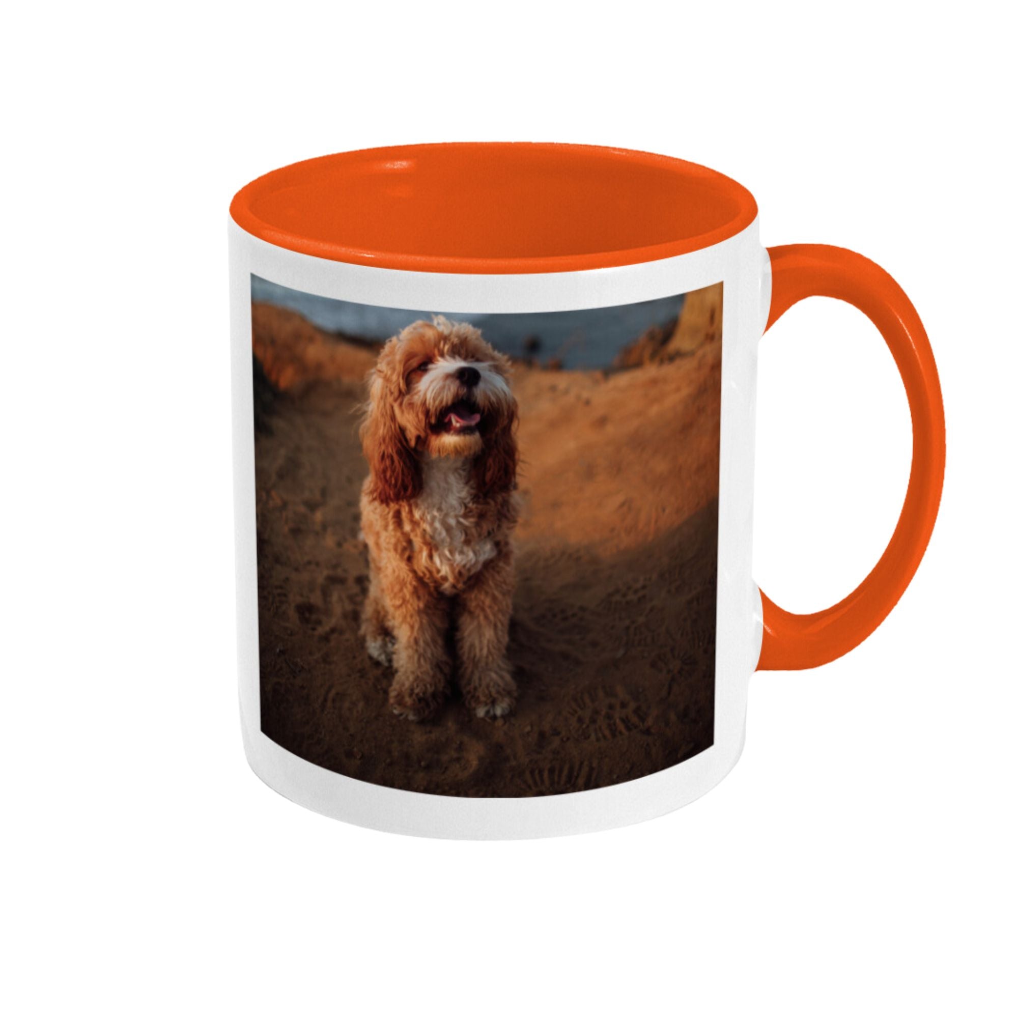 Personalised Dog Dad Mug with Photo - Sweetie